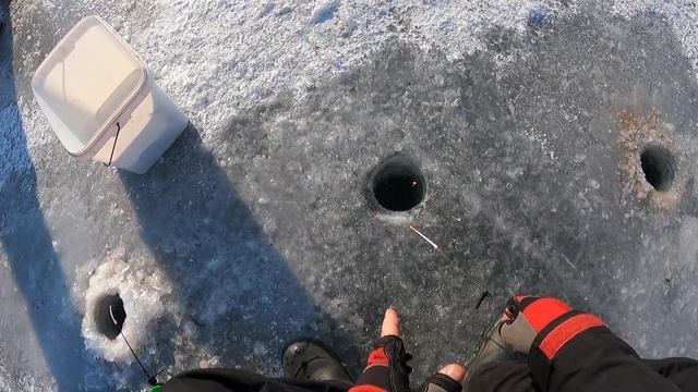 Ловим плотву зимой на Осколе! Рыбалка 2021 смотреть онлайн