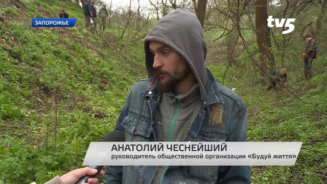 Родниковая жила смотреть онлайн