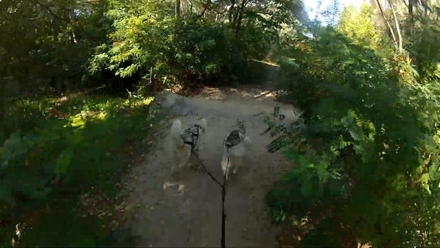 Ездовой спорт - Ожидание/реальность смотреть онлайн