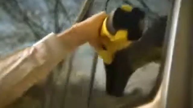 Стеклоочиститель Karcher WV50 Plus смотреть онлайн