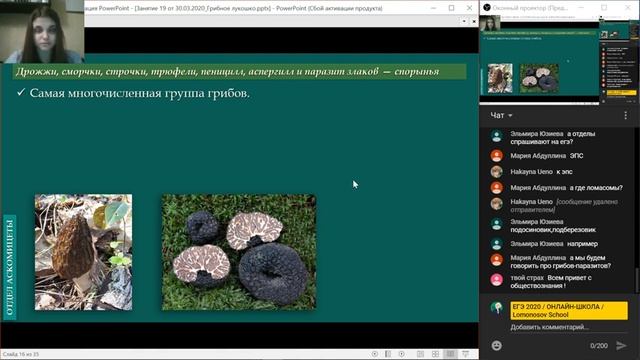 БИОЛОГИЯ: Грибное лукошко? смотреть онлайн