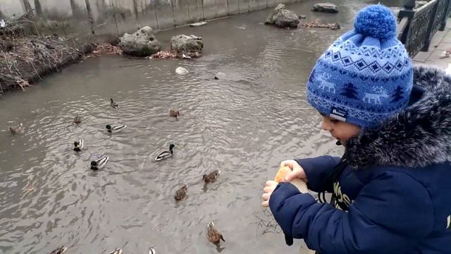 Гуляем по набережной реки Салгир смотреть онлайн
