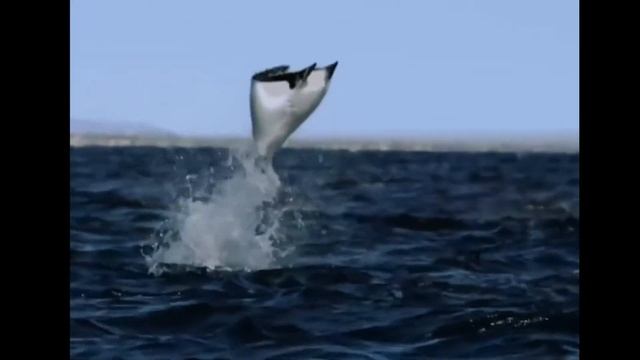 ОСОЗНАНИЕ смотреть онлайн