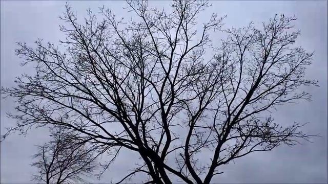 Санаторий "Барвинок" заезд № 171 смотреть онлайн