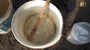 ПОДКОРМКА СЛИВЫ ВЕСНОЙ