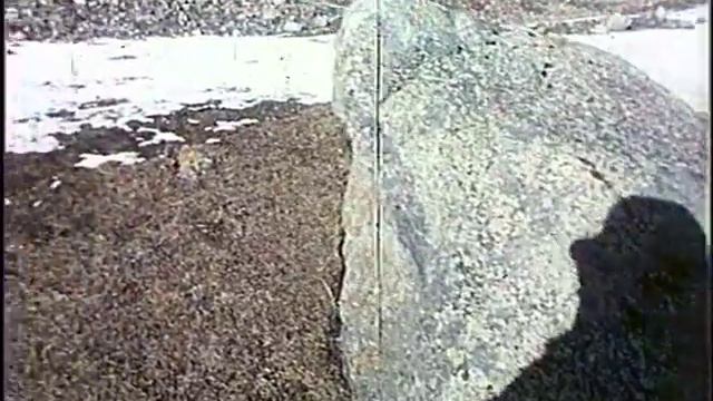 Магомед сын Шабаза смотреть онлайн