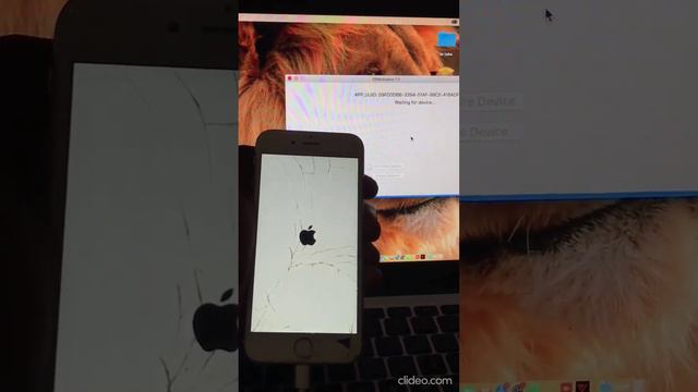 Full bypass iPhone 6s with Vr activator done смотреть онлайн