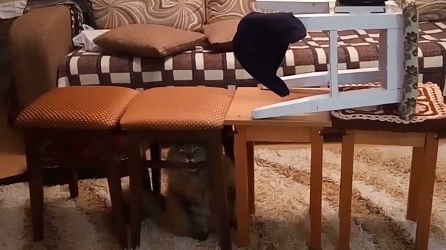 Перед охотой надо хорошенько зубы наточить смотреть онлайн