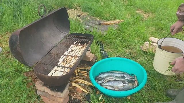 Как коптить рыбу?Вкусная копчёная щука)Горячее копчение. Краткий обзор!)Смотреть в качестве 1080р смотреть онлайн