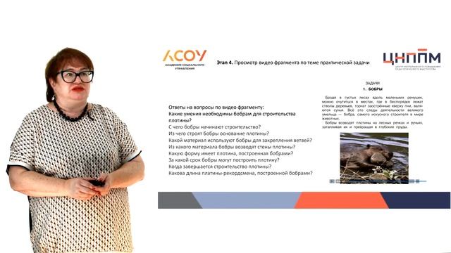 Сценарий занятия внеурочной деятельности по формированию функциональной грамотности. 3 класс. смотреть онлайн