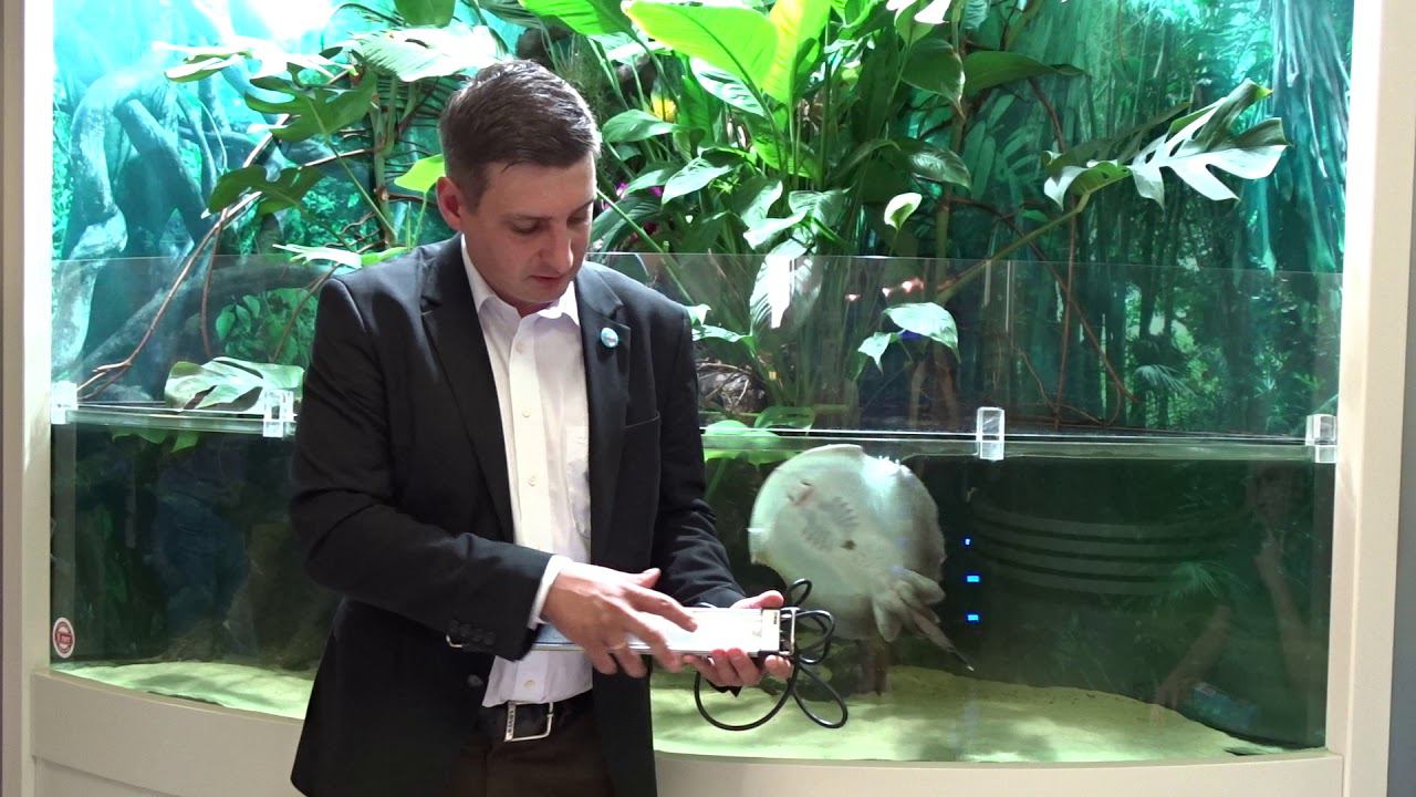 Какие новинки выпустила компания #Eheim к 70-летию смотреть онлайн