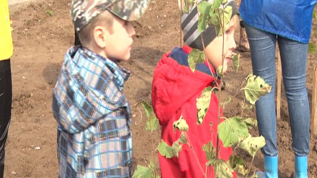 СПЕЦИАЛЬНЫЙ РЕПОРТАЖ. Акция "Наш лес. Посади свое дерево" смотреть онлайн