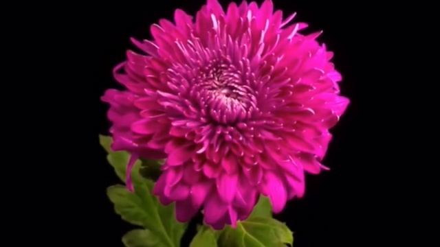 # заговоры на верность мужа# смотреть онлайн