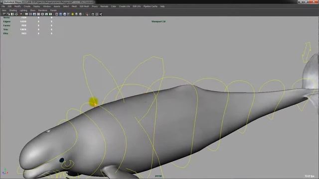 Delphinapterus Leucas 'Beluga White Whale' Rig Preview Maya.