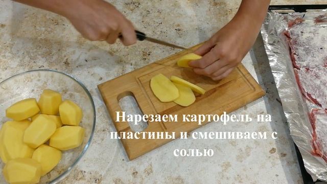 Научные Эксперименты