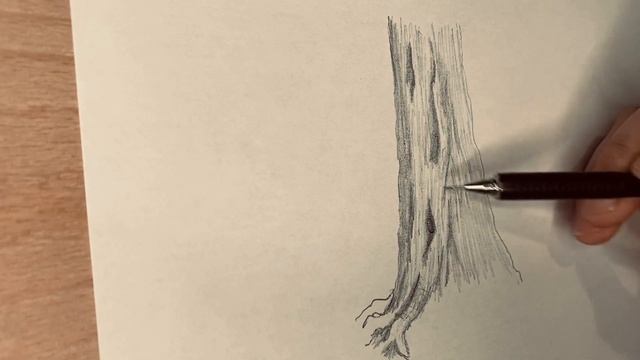 How To Draw Tree Bark смотреть онлайн