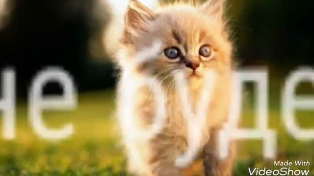 Видео не будет 3 дня(((( смотреть онлайн