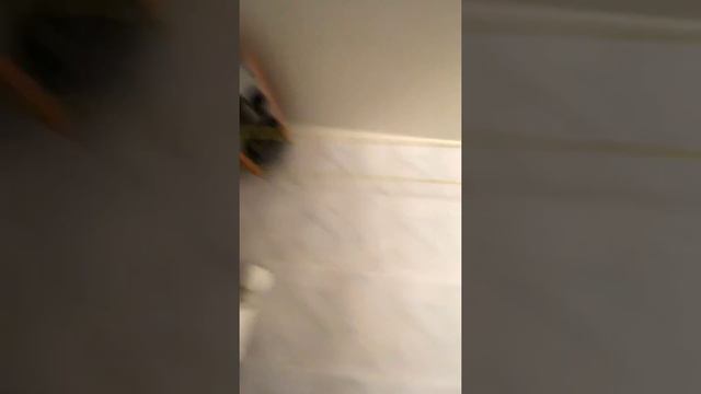 292 Вт мой домашний мультирум смотреть онлайн