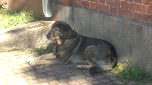 Валаам, что посмотреть. смотреть онлайн