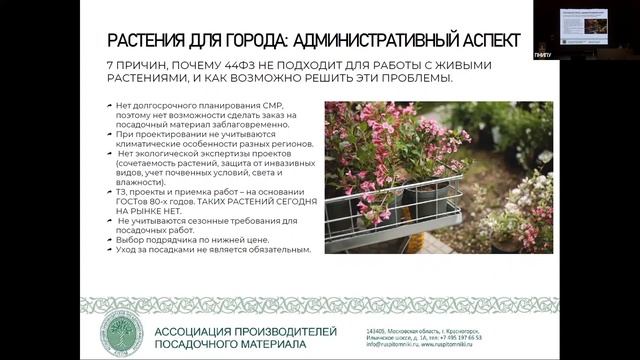 Растения города смотреть онлайн