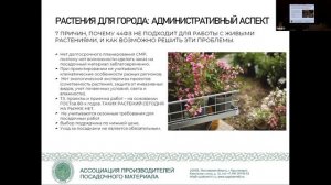 Растения города