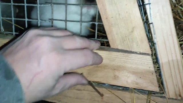 ПЛАНЫ НА БЛИЖАЙШИЕ ДВЕ НЕДЕЛИ.ОСМОТР НАШЕГО ХОЗЯЙСТВА./ДЕРЕВЕНСКИЕ БУДНИ. смотреть онлайн