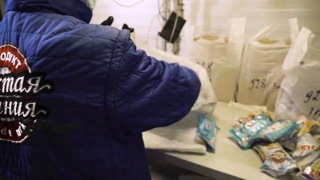 Газета "Петербургский дневник" и "Чистая линия" смотреть онлайн