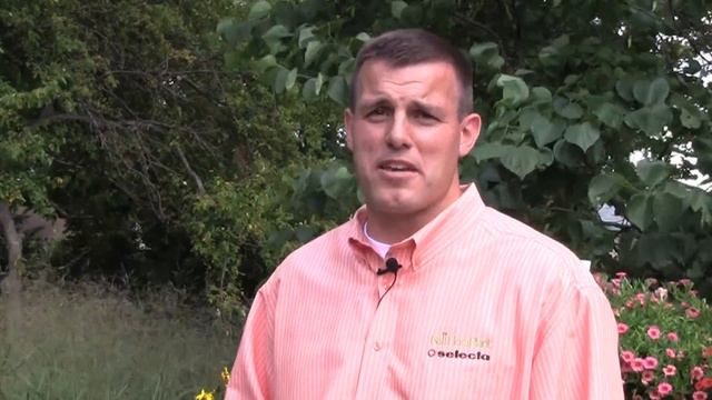 Voltage Yellow Osteo Is A Keeper смотреть онлайн