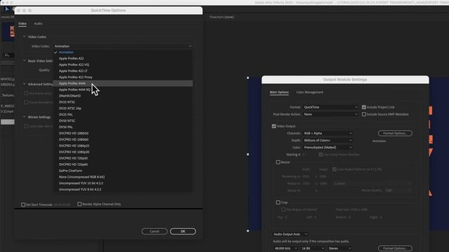 After Effects: Export with Transparent Background (Alpha Channel) смотреть онлайн