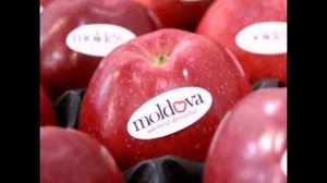 Молдавская свадебная музыка   первая часть