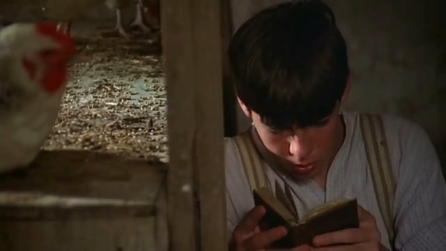 What Every French Women Wants( 1986 ) /movie Review In Hindi#hollywoodmovieexplainedinhindi