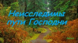Неисследимы пути Господни.. (рассказ)