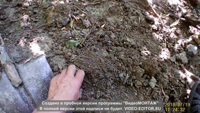 Коп на реке с коброй т 250 смотреть онлайн