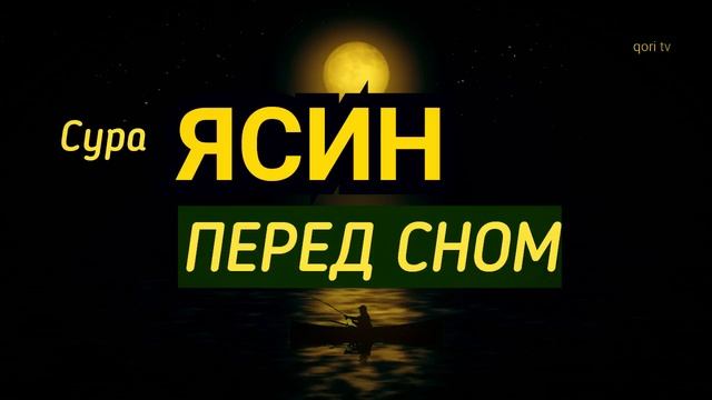 СУРА ЯСИН "ПЕРЕД СНОМ" НА КАЖДЫЙ ДЕНЬ смотреть онлайн