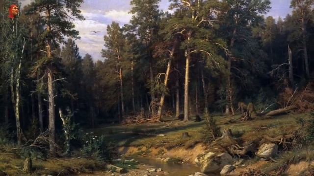 Притчи на каждый день. Владимир Бутромеев. №56. Верные ориентиры смотреть онлайн