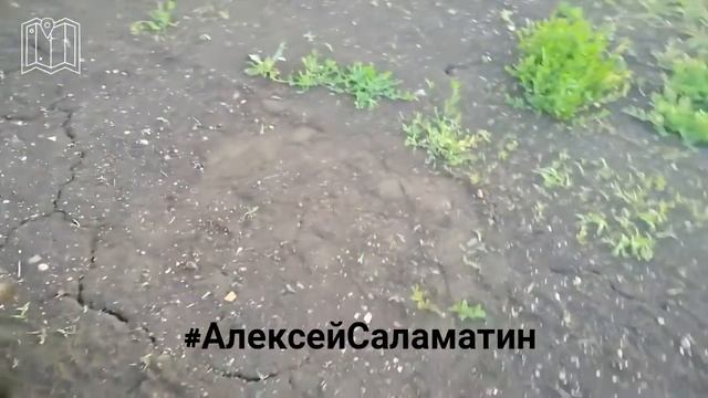 Дневник кинолога «Обучение следовой работе занятие первое» смотреть онлайн