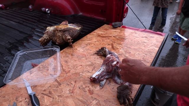 VERY SCARY TURTLE {Catch Clean Cook} snapping Turtle that’s fast as Lightning! смотреть онлайн