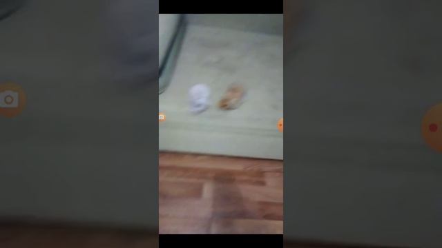 обзор что я снимал раньше смотреть онлайн