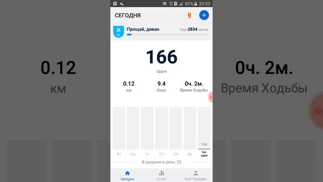 Шагомер насчитал 166 шагов в квартире смотреть онлайн