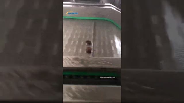 Commerical Bubble washer machine, Fruist Cleaning washing machine for ujube, grape，fish shrimp. смотреть онлайн