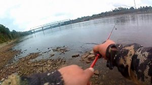 Пойдем за окунем ? Рыбалка на реке Волхов.