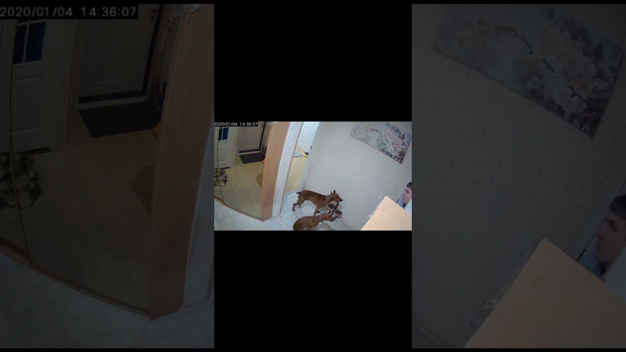 Контроль во время еды смотреть онлайн