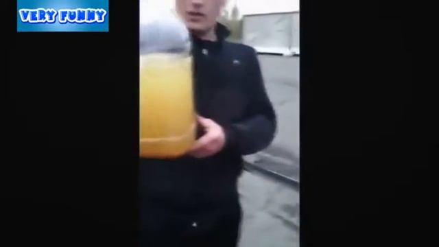 Прикольное видео часть 52 Яйцо в яйце Смешное видео Приколы с животными смотреть онлайн