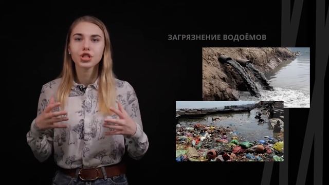 Глобальные проблемы биосферы | Биология смотреть онлайн
