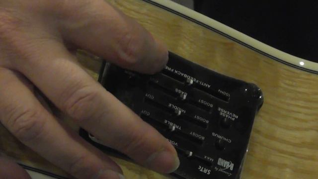 Ibanez EW20ASE Acoustic Electric Guitar