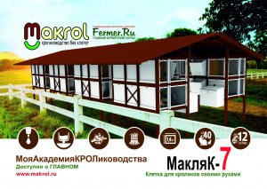 Стали известны секреты новой минифермы от МакляКа. Главный сюрприз в описании. #макляк #макрол