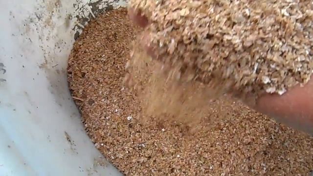 Опарыш часть -5.