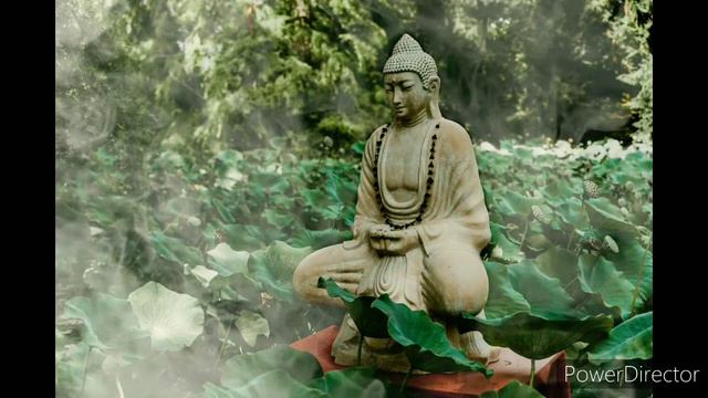 Buddhist Meditation | Music For Positive Energy | Zen | Buddha | Meditative Mind | Peace | Relax |