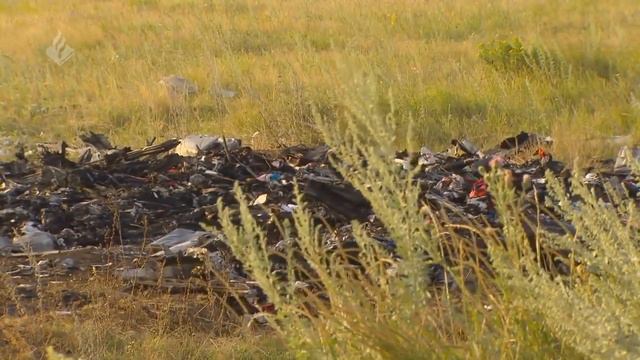 Приложение 2. Экспертиза смотреть онлайн