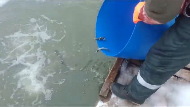 Утренний Запуск Форели смотреть онлайн